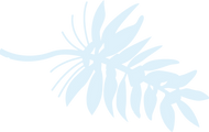葉っぱ_02_4x.png