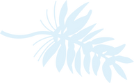 葉っぱ_02_4x.png