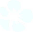 花_4x_edited.png