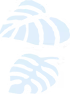 シダ植物_4x_edited.png