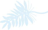 葉っぱ_02_4x_edited.png