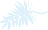 葉っぱ_02_4x_edited.png