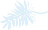 葉っぱ_02_4x_edited.png