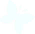 蝶_4x_edited_edited.png