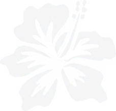 ハイビスカス_4x_edited.png