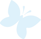 蝶_4x_edited.png